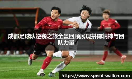 球速体育平台