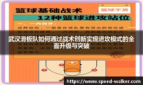 球速体育平台