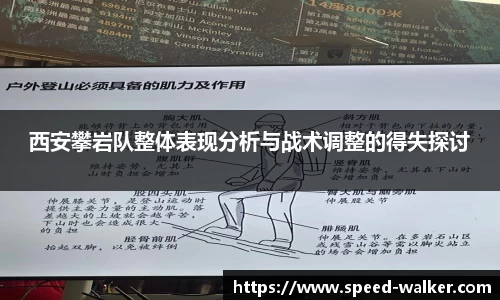 球速体育APP